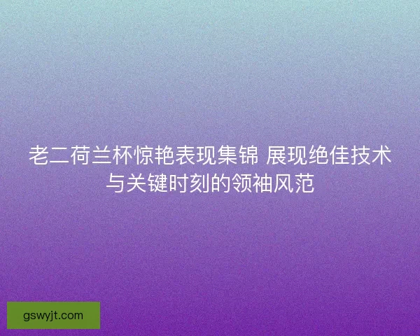 老二荷兰杯惊艳表现集锦 展现绝佳技术与关键时刻的领袖风范