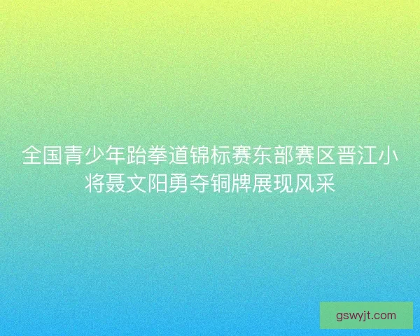 全国青少年跆拳道锦标赛东部赛区晋江小将聂文阳勇夺铜牌展现风采
