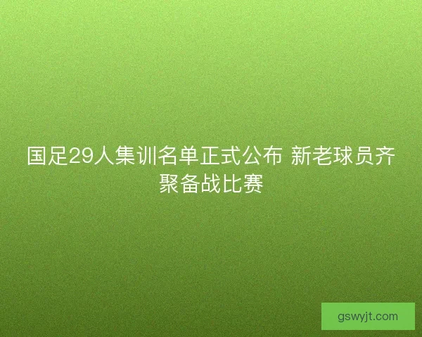 国足29人集训名单正式公布 新老球员齐聚备战比赛